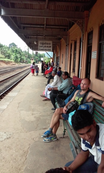 Шри Ланка "дикарями" в ноябре 2014 года.