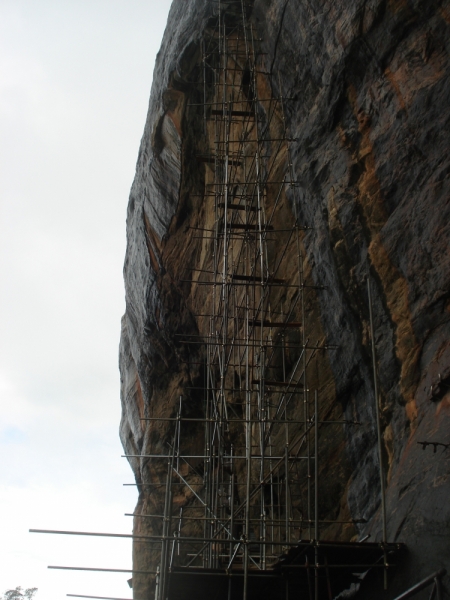 Шри Ланка "дикарями" в ноябре 2014 года.