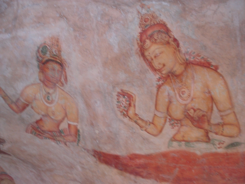 Шри Ланка "дикарями" в ноябре 2014 года.