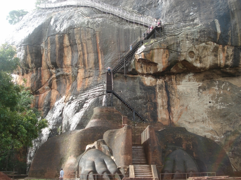 Шри Ланка "дикарями" в ноябре 2014 года.