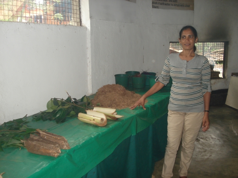 Шри Ланка "дикарями" в ноябре 2014 года.