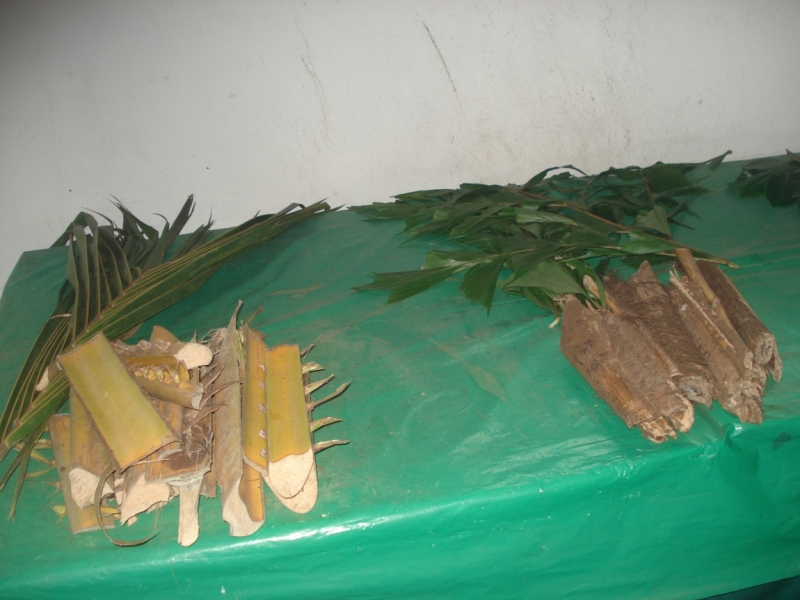 Шри Ланка "дикарями" в ноябре 2014 года.