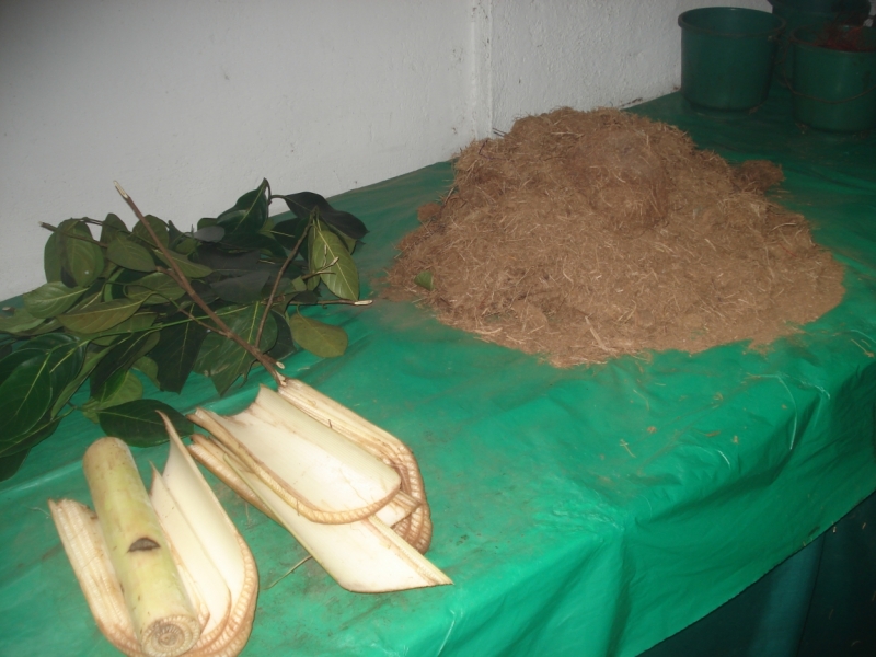 Шри Ланка "дикарями" в ноябре 2014 года.