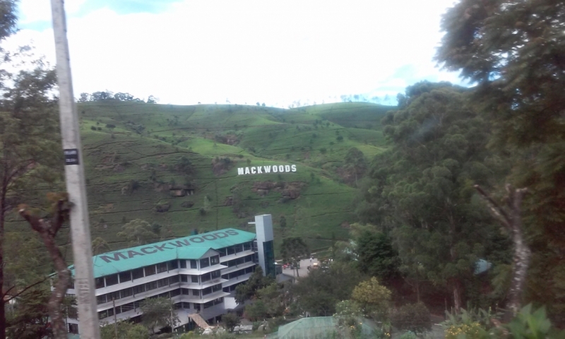 Шри Ланка "дикарями" в ноябре 2014 года.