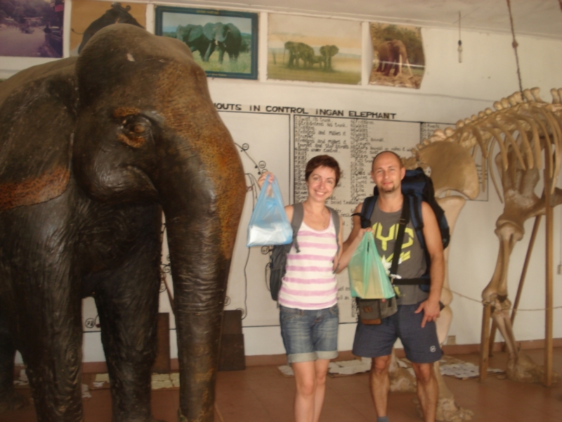 Шри Ланка "дикарями" в ноябре 2014 года.