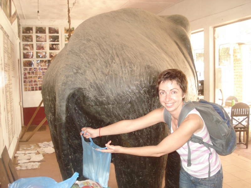 Шри Ланка "дикарями" в ноябре 2014 года.