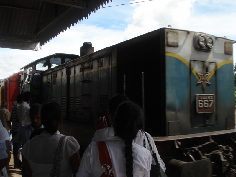 Шри Ланка "дикарями" в ноябре 2014 года.