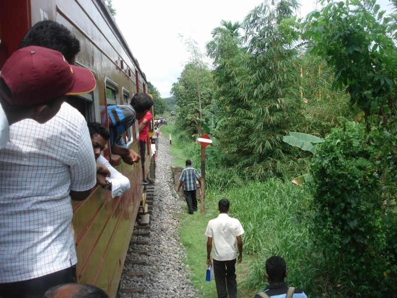 Шри Ланка "дикарями" в ноябре 2014 года.