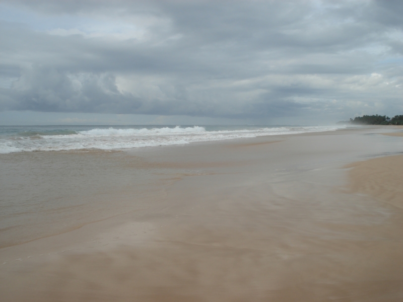 Шри Ланка "дикарями" в ноябре 2014 года.