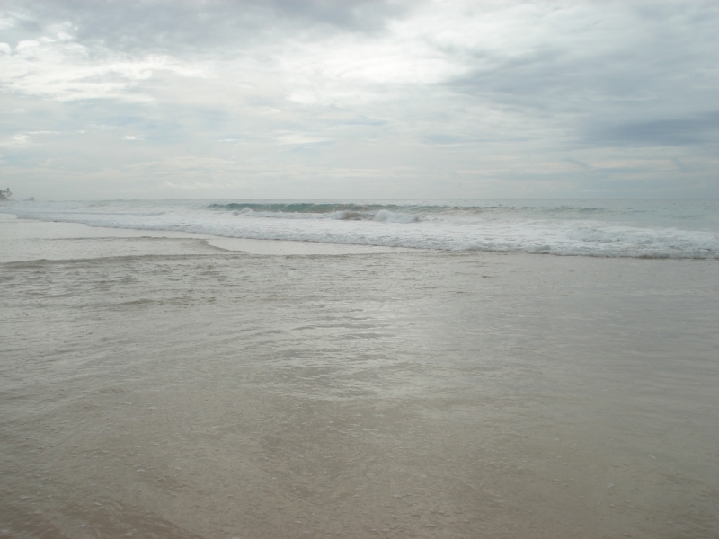 Шри Ланка "дикарями" в ноябре 2014 года.