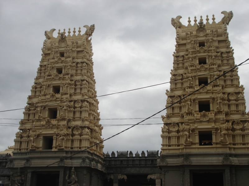 Шри Ланка "дикарями" в ноябре 2014 года.