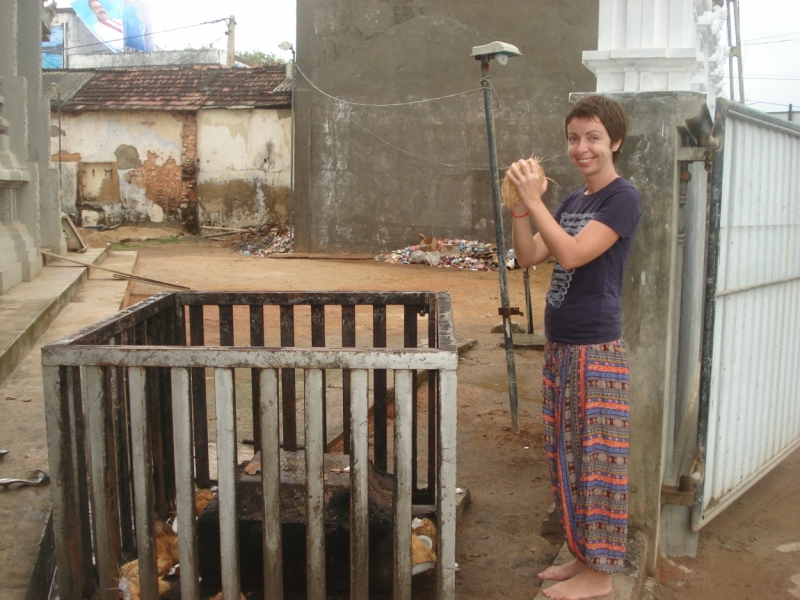 Шри Ланка "дикарями" в ноябре 2014 года.