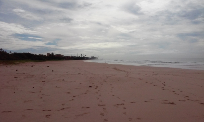 Шри Ланка "дикарями" в ноябре 2014 года.