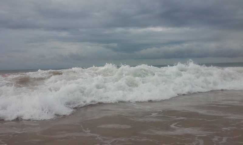 Шри Ланка "дикарями" в ноябре 2014 года.