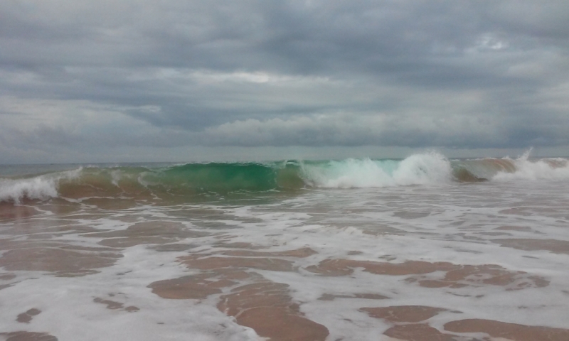 Шри Ланка "дикарями" в ноябре 2014 года.