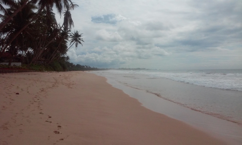 Шри Ланка "дикарями" в ноябре 2014 года.