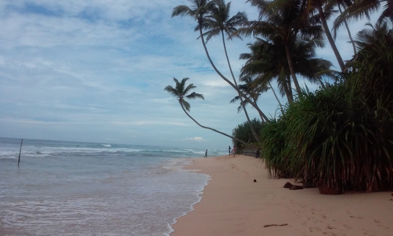 Шри Ланка "дикарями" в ноябре 2014 года.