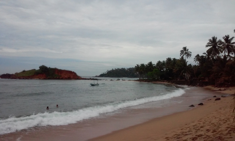 Шри Ланка "дикарями" в ноябре 2014 года.