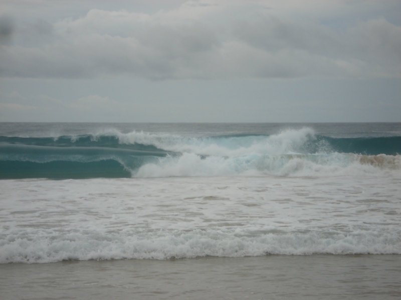 Шри Ланка "дикарями" в ноябре 2014 года.