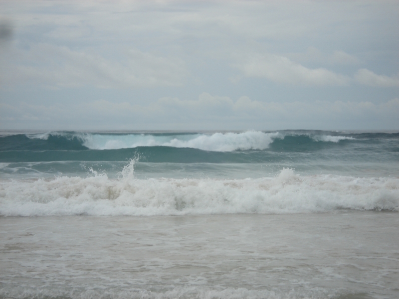 Шри Ланка "дикарями" в ноябре 2014 года.