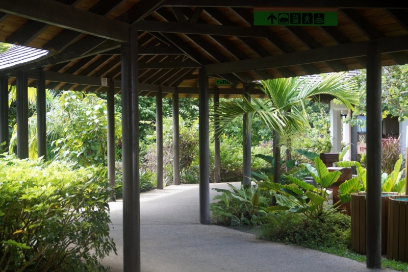 Перворазники на Карибах: круиз на P&O Ventura