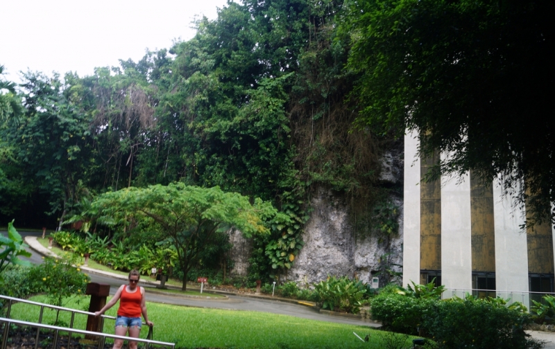 Перворазники на Карибах: круиз на P&O Ventura