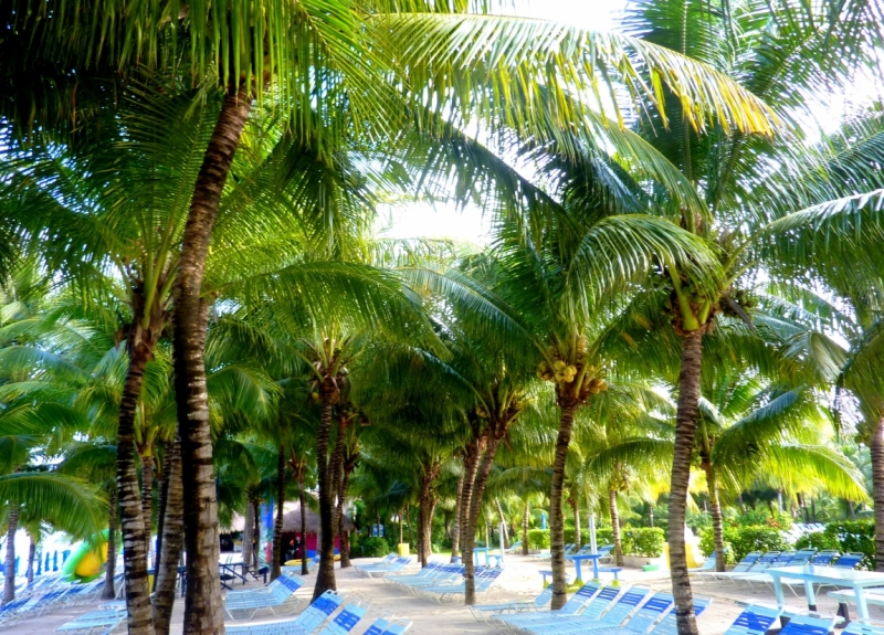 Как я купил мотоцикл в Бриджпорте, и проехал на нём по Америке.