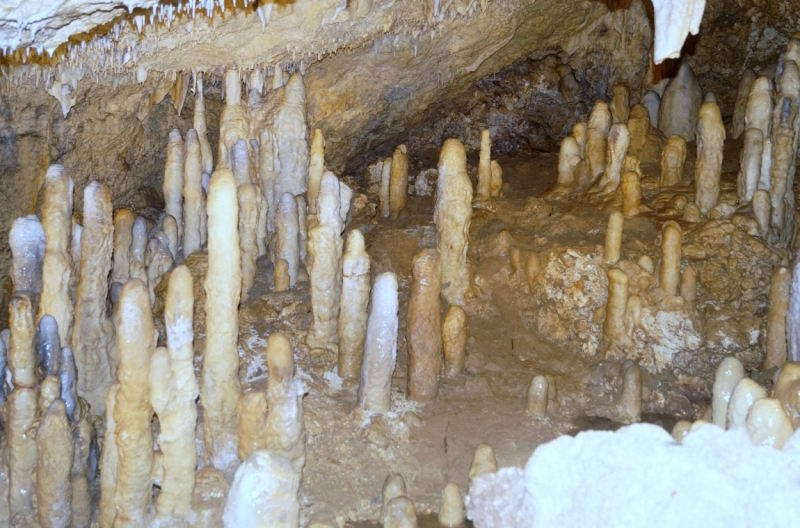 Перворазники на Карибах: круиз на P&O Ventura