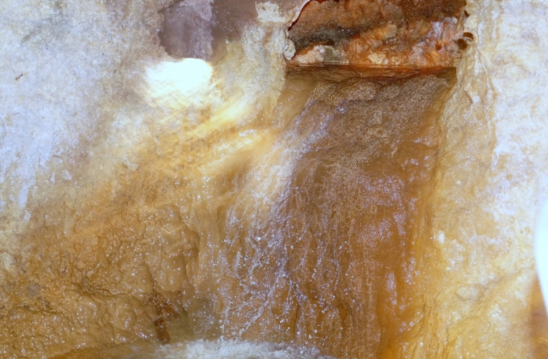 Перворазники на Карибах: круиз на P&O Ventura