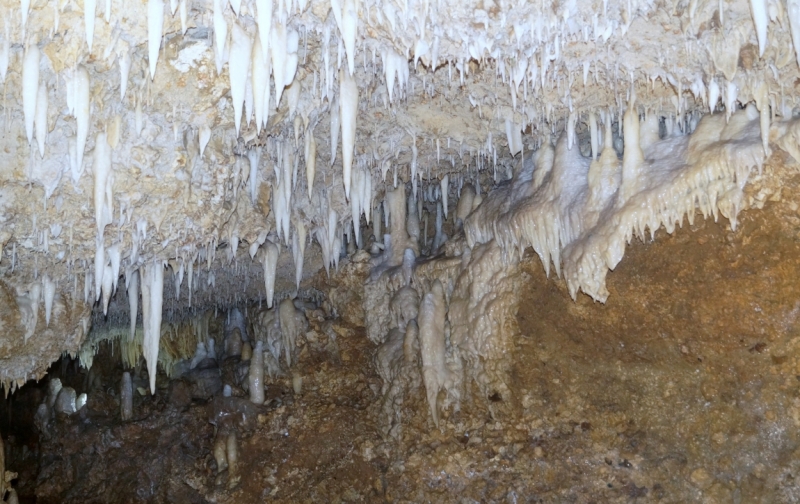 Перворазники на Карибах: круиз на P&O Ventura