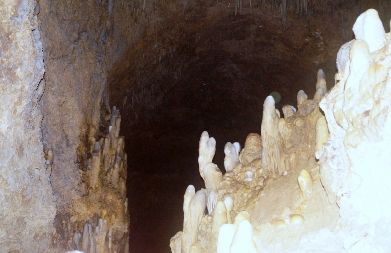 Перворазники на Карибах: круиз на P&O Ventura