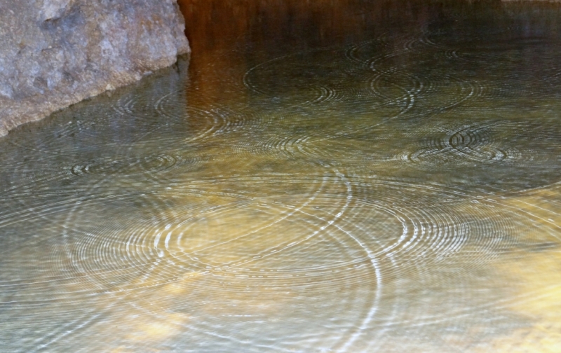 Перворазники на Карибах: круиз на P&O Ventura