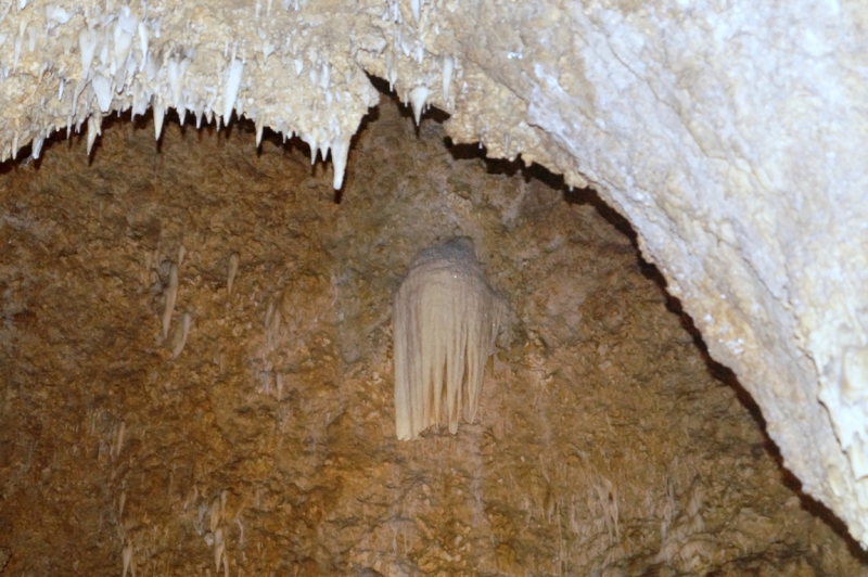 Перворазники на Карибах: круиз на P&O Ventura