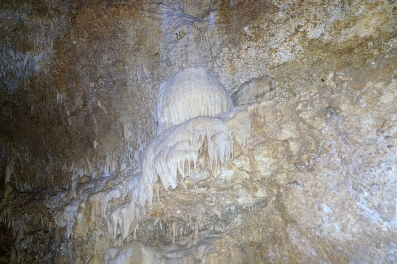 Перворазники на Карибах: круиз на P&O Ventura