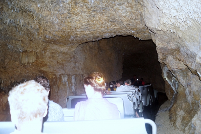 Перворазники на Карибах: круиз на P&O Ventura