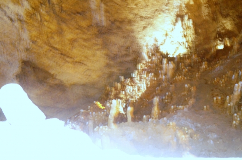 Перворазники на Карибах: круиз на P&O Ventura