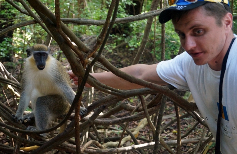 Перворазники на Карибах: круиз на P&O Ventura