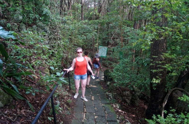 Перворазники на Карибах: круиз на P&O Ventura