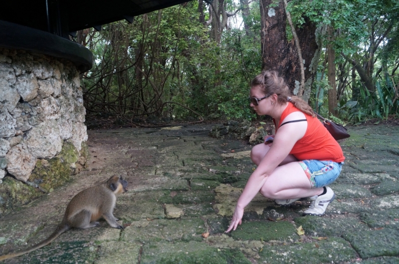 Перворазники на Карибах: круиз на P&O Ventura