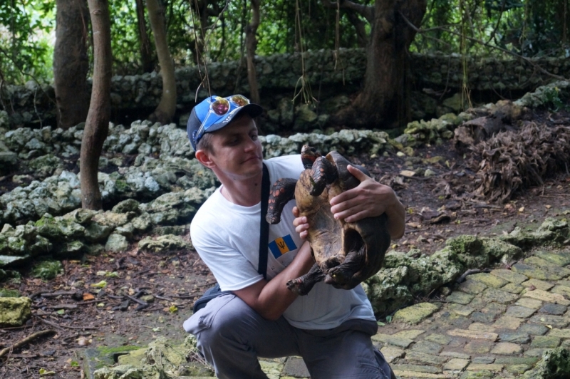 Перворазники на Карибах: круиз на P&O Ventura