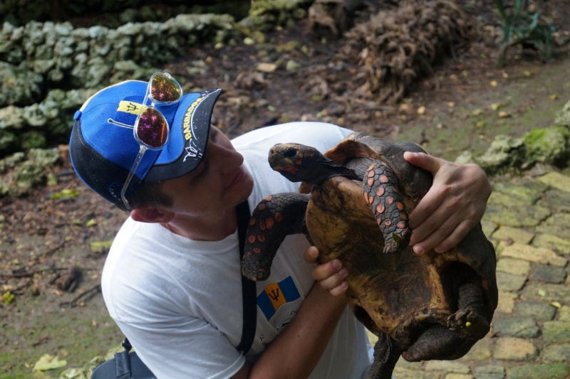 Перворазники на Карибах: круиз на P&O Ventura