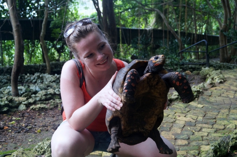 Перворазники на Карибах: круиз на P&O Ventura