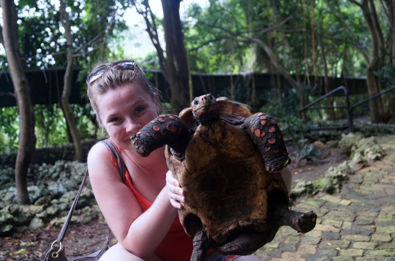 Перворазники на Карибах: круиз на P&O Ventura