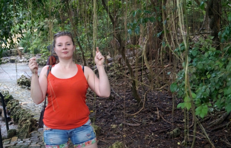 Перворазники на Карибах: круиз на P&O Ventura