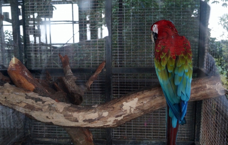 Перворазники на Карибах: круиз на P&O Ventura