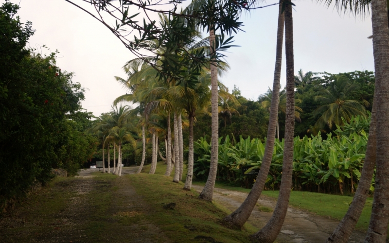 Перворазники на Карибах: круиз на P&O Ventura