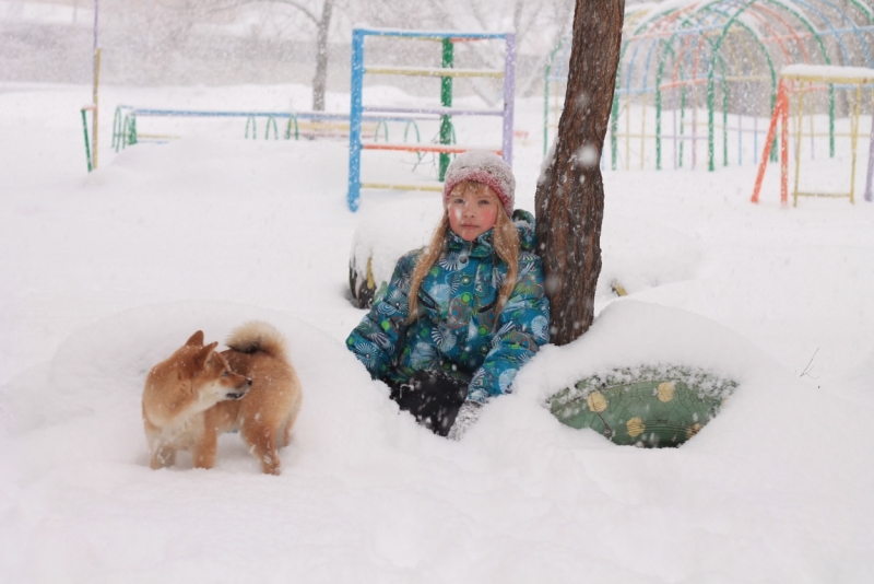 Братья наши меньшие, у кого кто - 2.