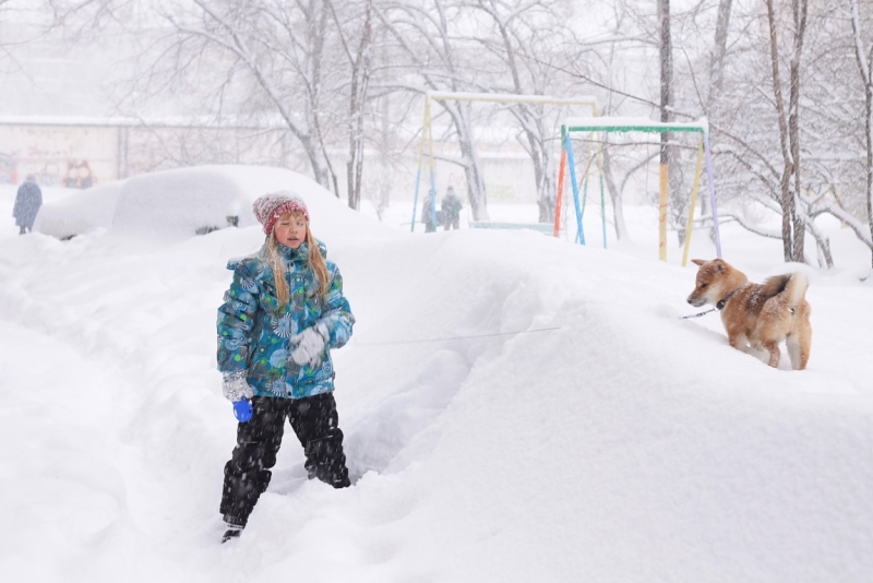 Братья наши меньшие, у кого кто - 2.