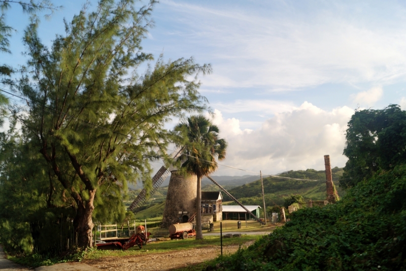 Перворазники на Карибах: круиз на P&O Ventura