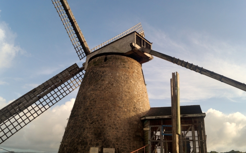 Перворазники на Карибах: круиз на P&O Ventura